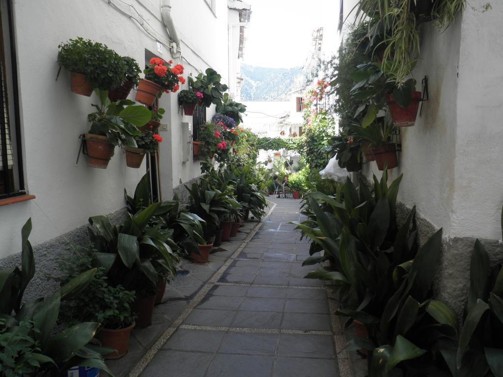 Hotel Juan Francisco Guejar Sierra Exteriér fotografie